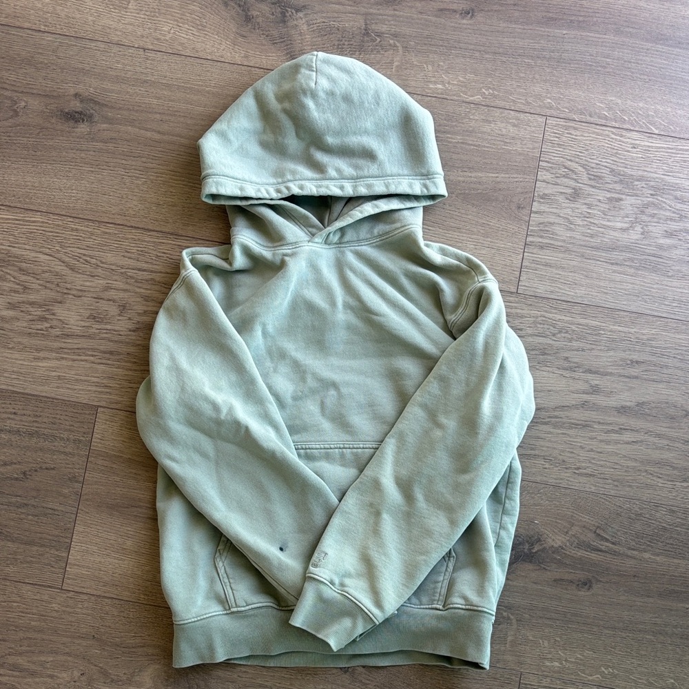 Aritzia Sage Green Hoodie